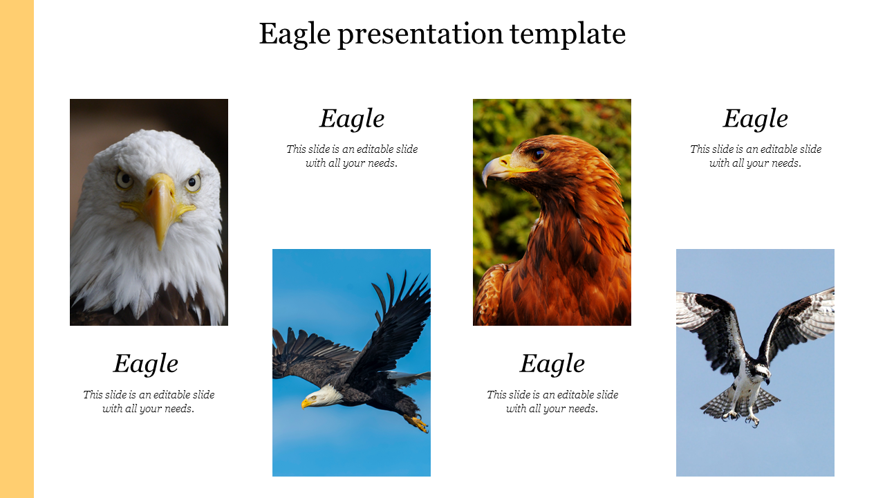 Get our Editable Eagle Presentation Template Themes Design